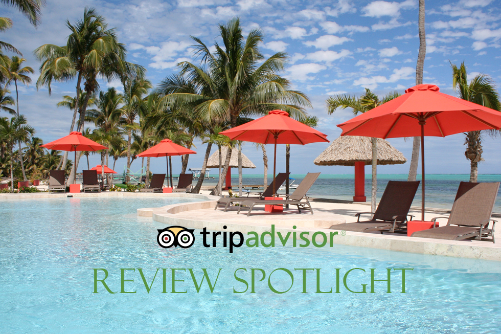 Trip Advisor Review Spotlight