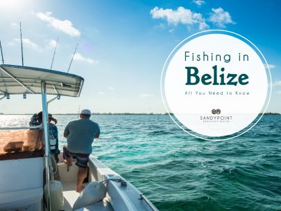 Fishin-in-Belize