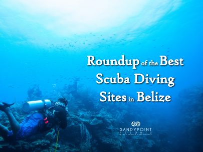 Roundup-of-Scuba-Diving-Sites