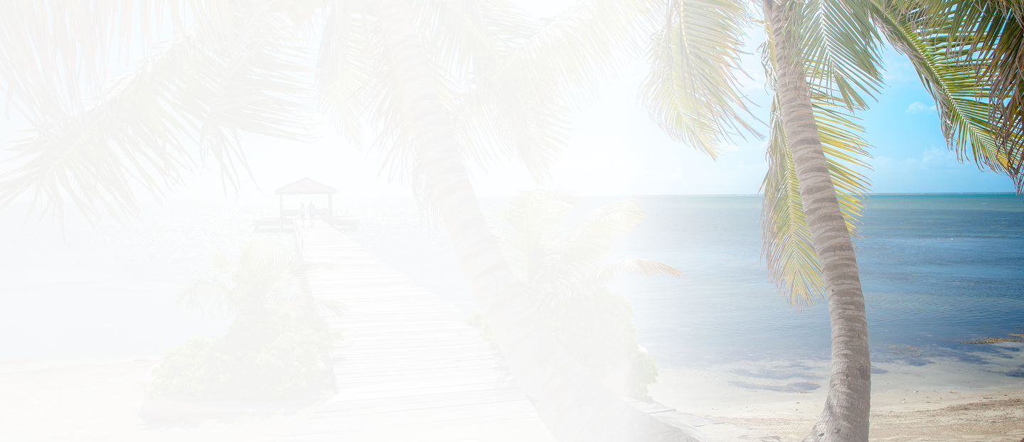 Beach and palm trees at Belizean Cove Estates