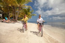 Bicycle on the Beach