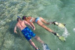 Snorkeling in Belize