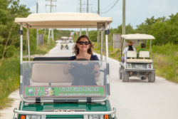 Golf Cart to Town