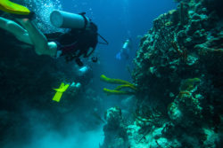 Belize barrier reef