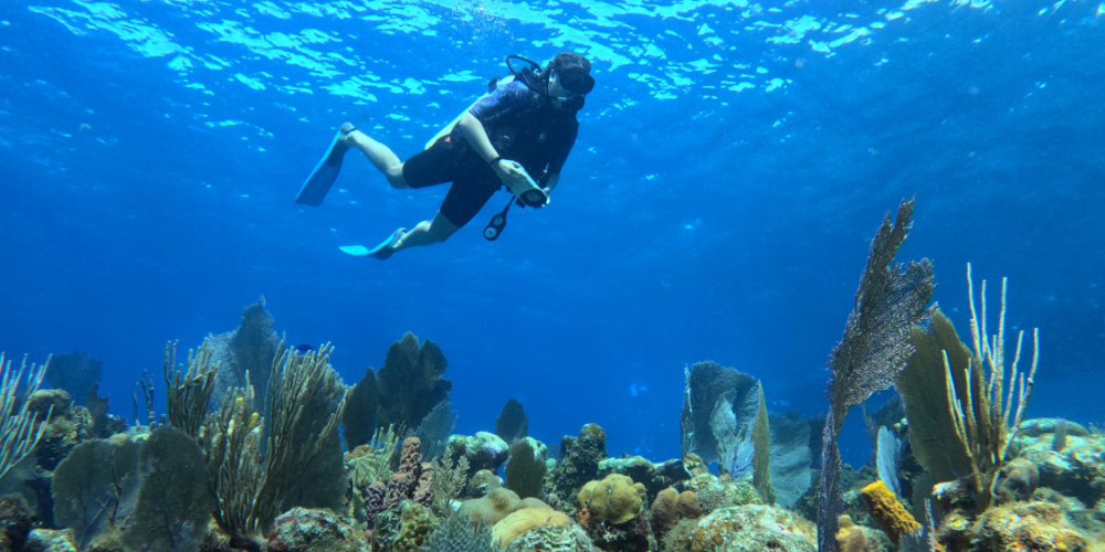 Top Dive Sites in Belize You Shouldn’t Miss