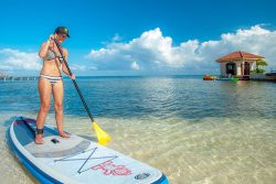 Paddle Boarding