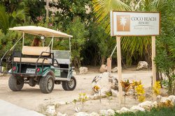 Golf Cart entering Coco Beach Resort