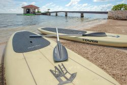 Paddle Boards on the Beach