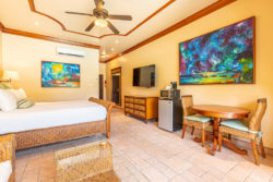 Luxury Hotel Room - amenities