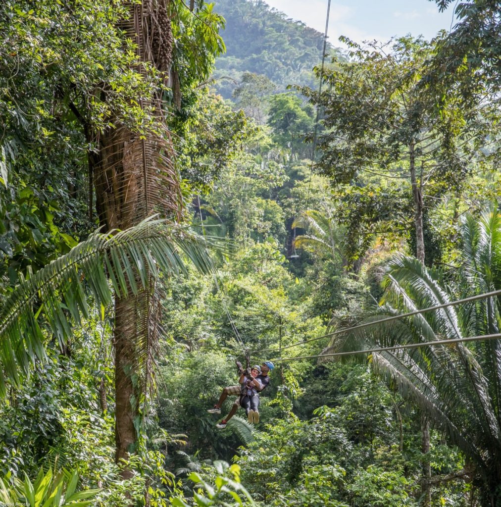 Zip Lining