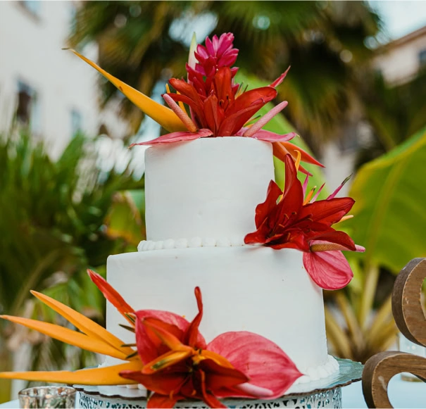 cake