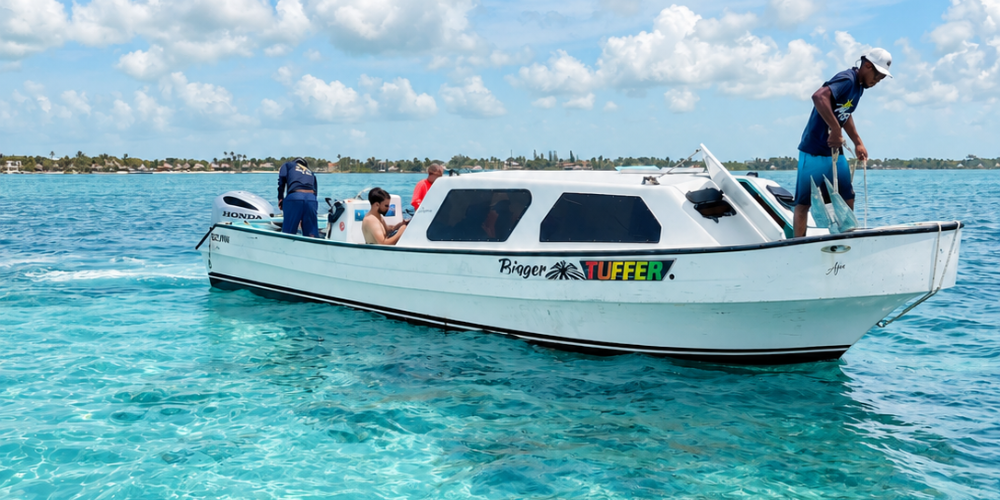 Belize Excursions From Ambergris Caye: What to Know Before You Go