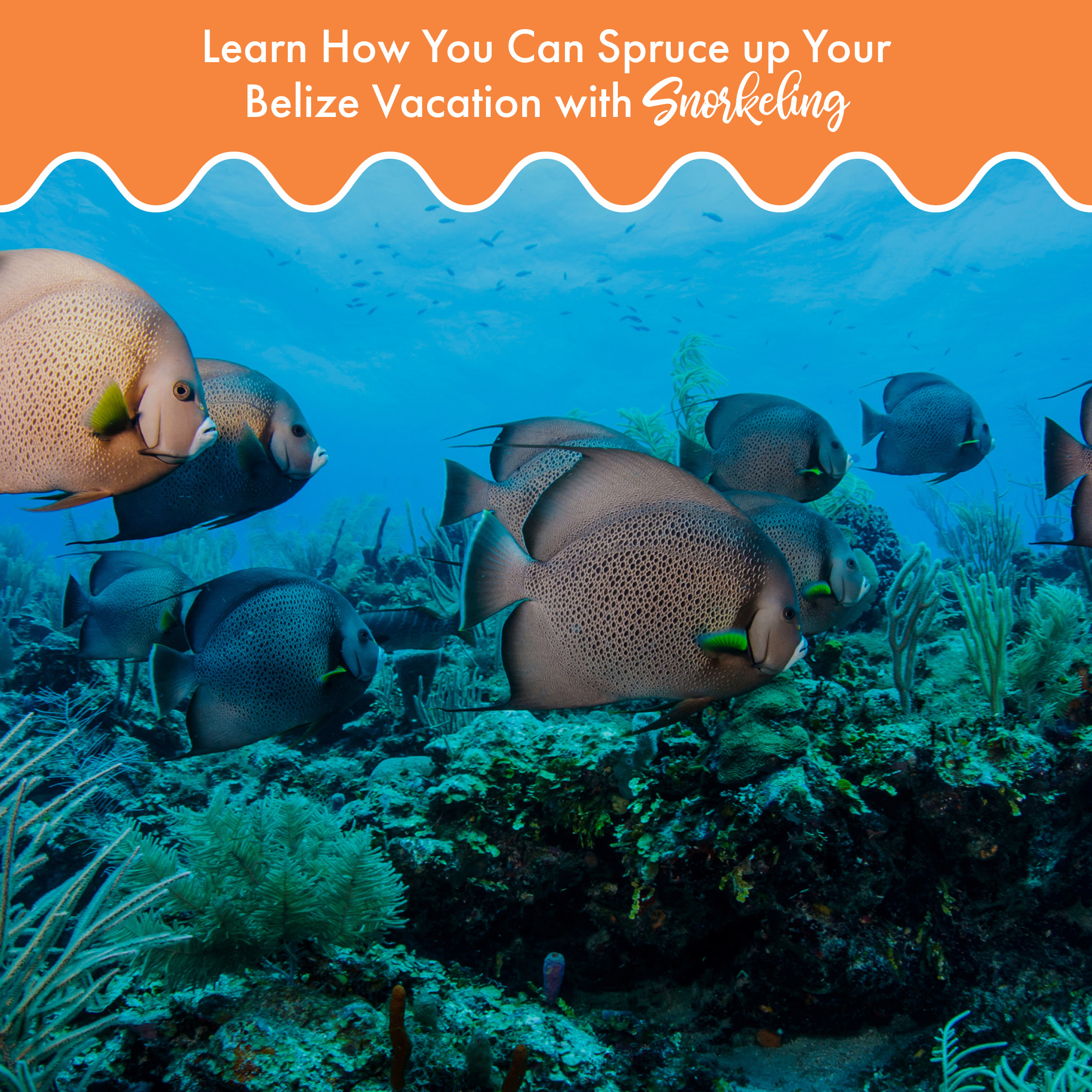 Learn-how-you-can-spruce-up-your-belize-vacation-with-snorkeling