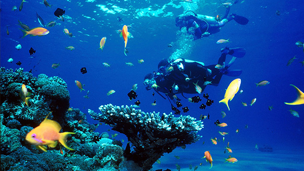 Scuba Diving, Belize Barrier Reef, Ambergris Caye