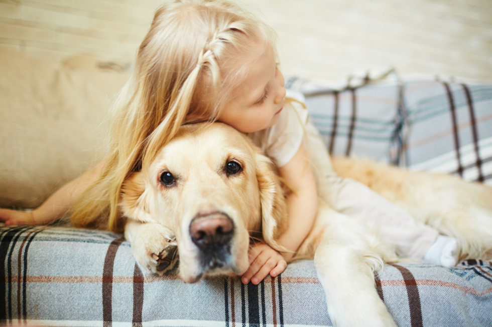 Child and Pet Care