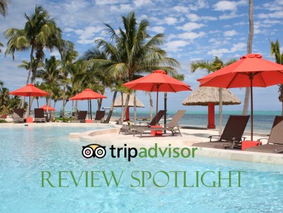 Trip Advisor Review Spotlight