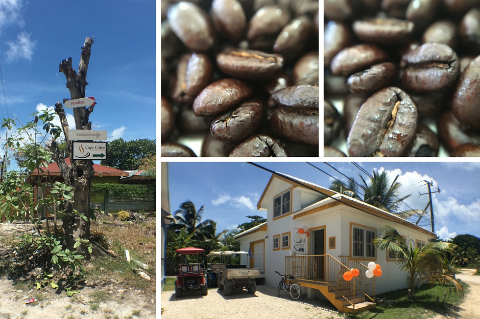 Caye Coffee Roasting Company - June 16th