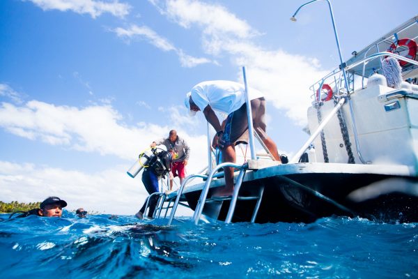 Belize Blue Hole diving requirements