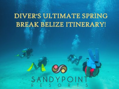Diver’s Ultimate Spring Break Belize Itinerary!