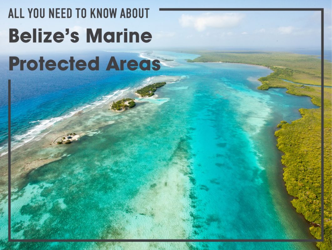 Belize marine protected areas