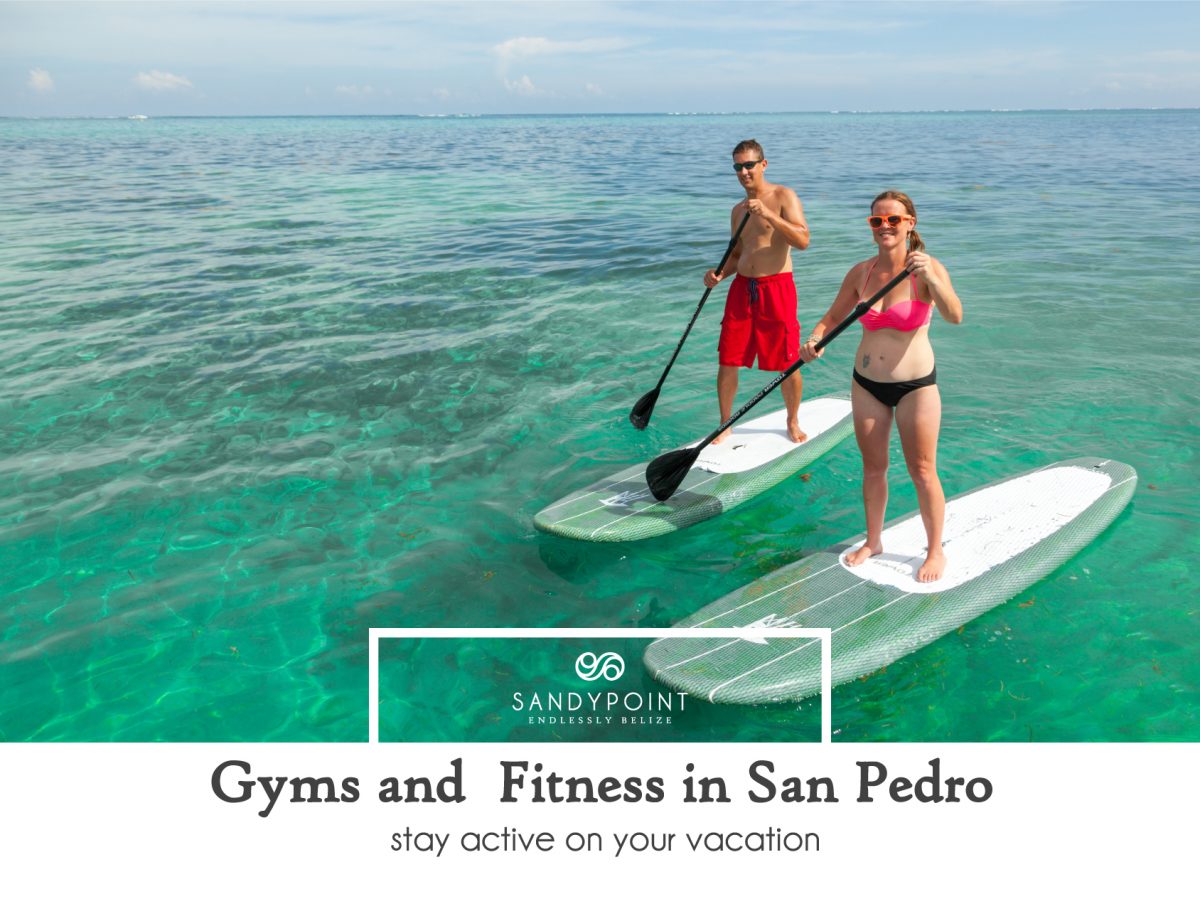 gym and fitness staying active on your vacation
