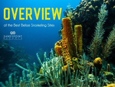 Overview of Belize Snorkeling sites