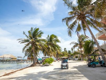 Golf Cart Rental Tips for Your Next Vacation: The Dos and Don’ts!