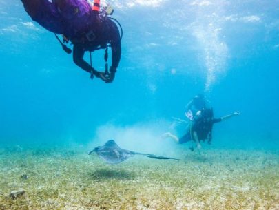 Scuba Diving