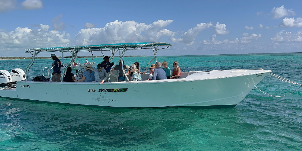 Exploring Hol Chan Marine Reserve: Your Ultimate Guide