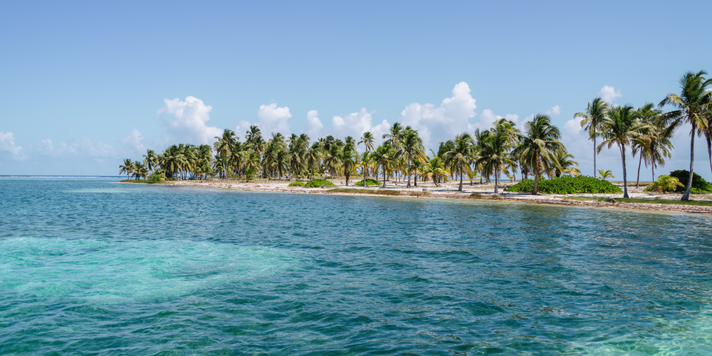Belize Attractions & Adventures: From Reef to Rainforest – Your Complete Sandy Point Guide