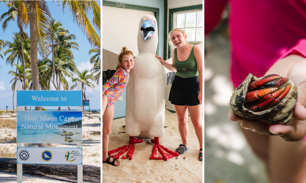 Half Moon Caye Natural Monument sign, visitors with red-footed booby bird statue, and horseshoe crab on Belize beach