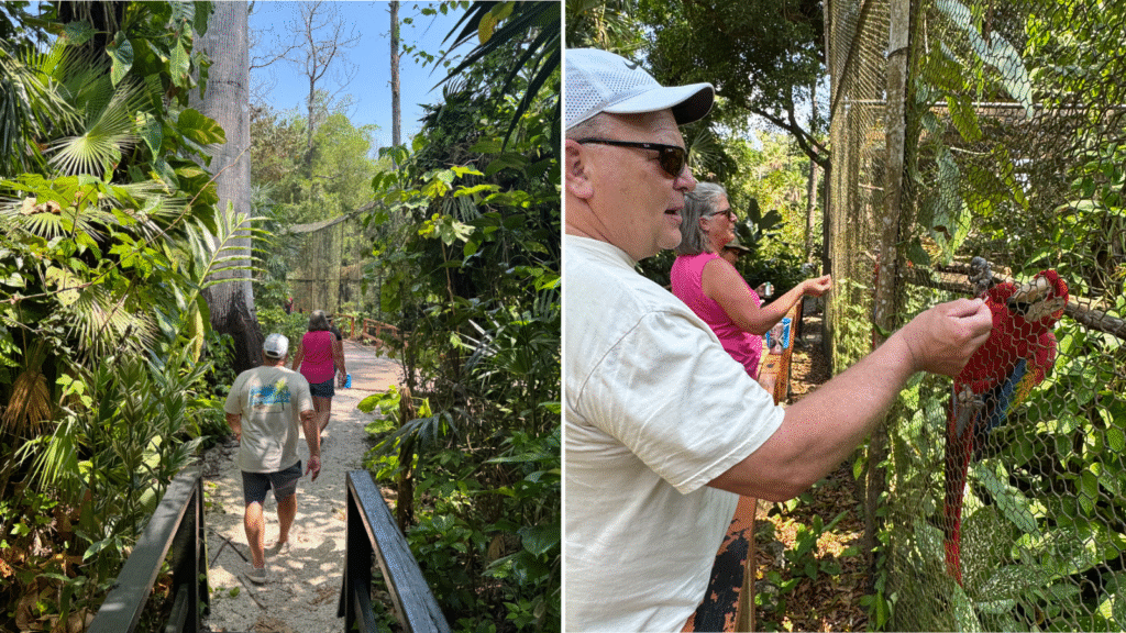 Visitors participating in Belize Zoo Ambassador program walking accessible pathways and feeding scarlet macaw
