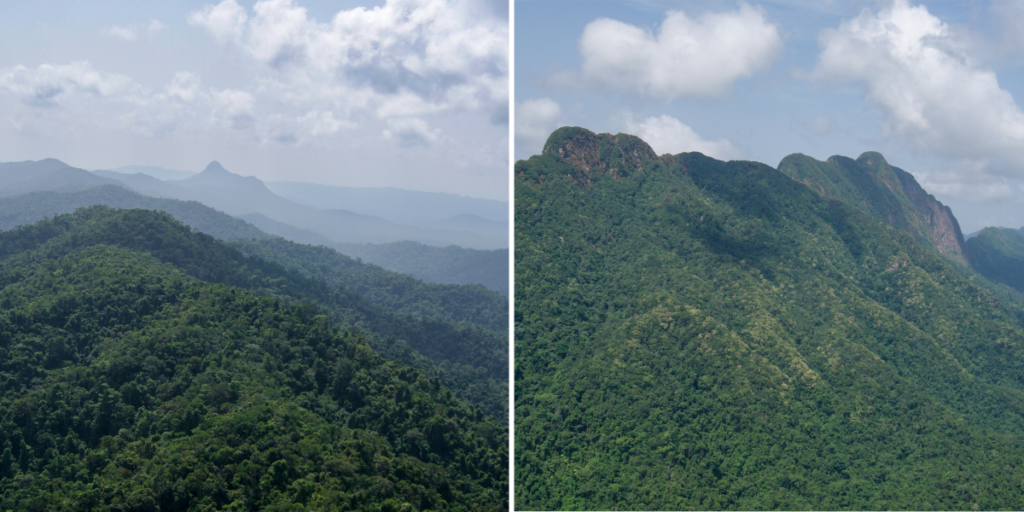 Aerial views of Cockscomb Basin Wildlife Sanctuary in Belize's Stann Creek District, showing dense rainforest canopy and the rugged peaks of the Maya Mountains