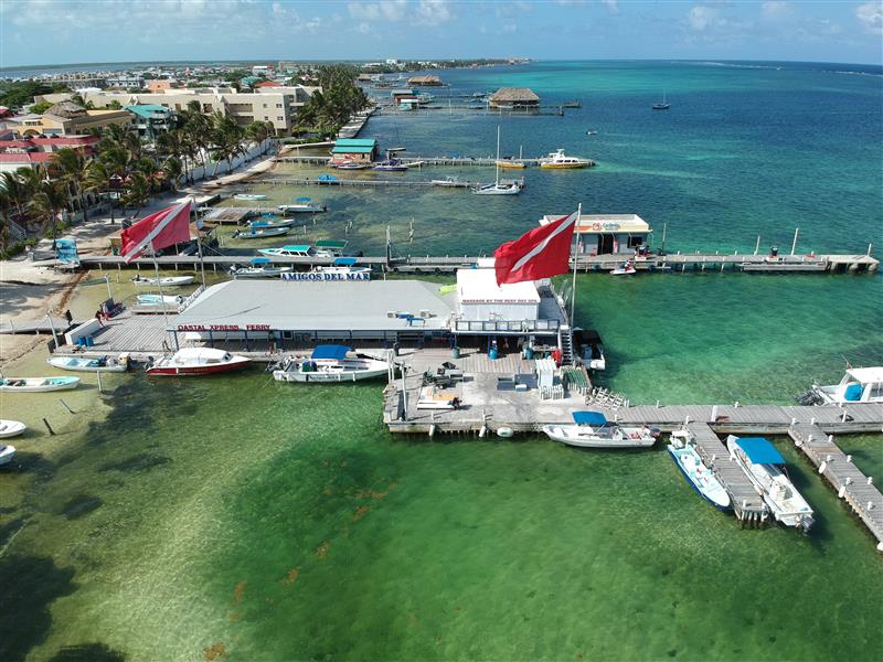Amigos del Mar dive center and dock