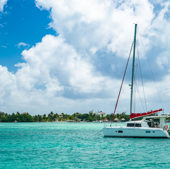 Catamaran Cruises