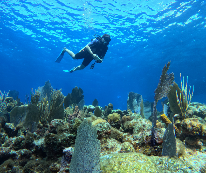 Belize Scuba Diving Packages